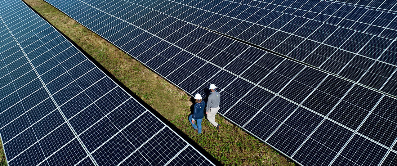 Energy workers walking through solar farm Energy workers walking through solar farm