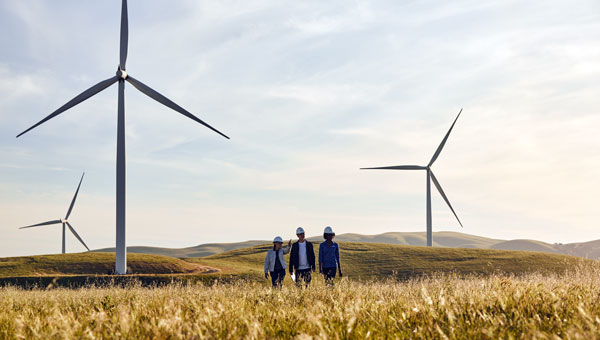 Employees in hard hats walking in a field with turbines in the distance