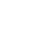 Dollar sign asset icon