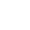 Business presentation icon