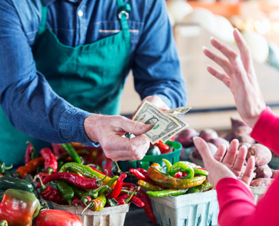 Local spending on vegetables Local spending on vegetables