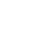 Shield security icon