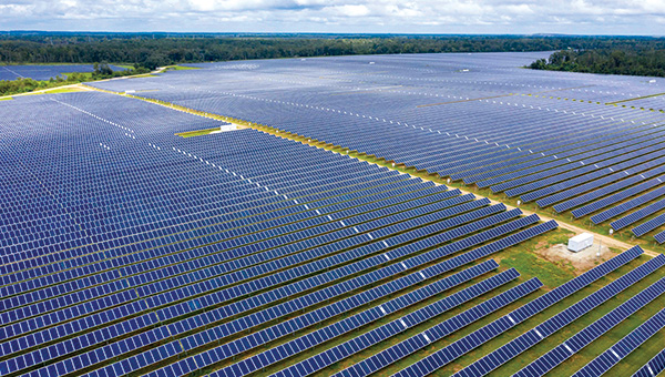 Solar farm with solar panels