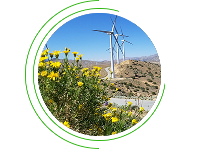 Wind turbines and flowers on a beautiful mountainside