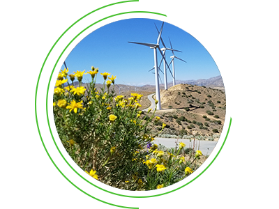 Wind turbines and flowers on a beautiful mountainside Wind turbines and flowers on a beautiful mountainside