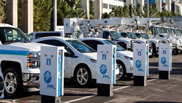 Row of parked fpl vehicles by fpl electric vehicle chargers