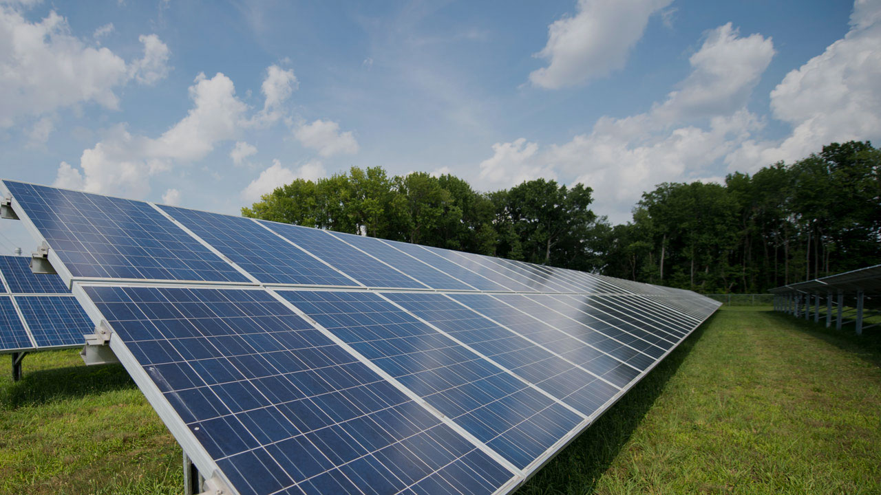 close up of solar panels in a field with trees