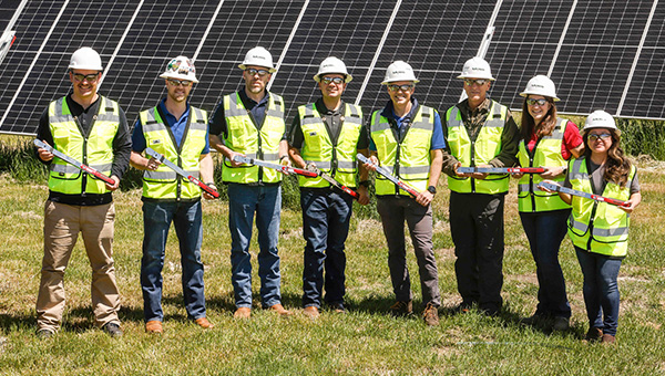 Employees at a solar energy facility