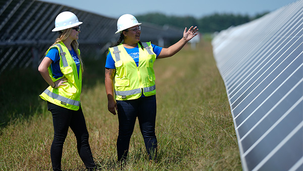 Workers inspecting solar panels