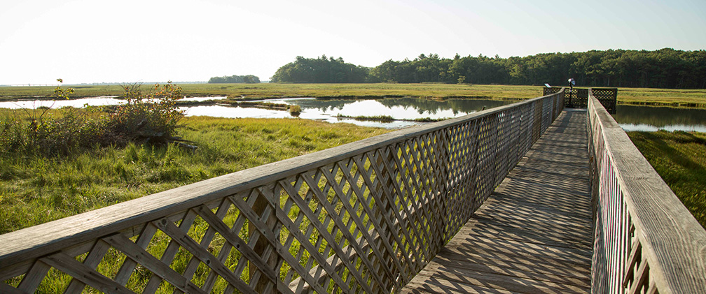 Seabrook nature