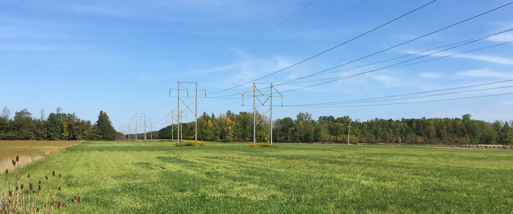 NextEra Energy Resources Transmission line