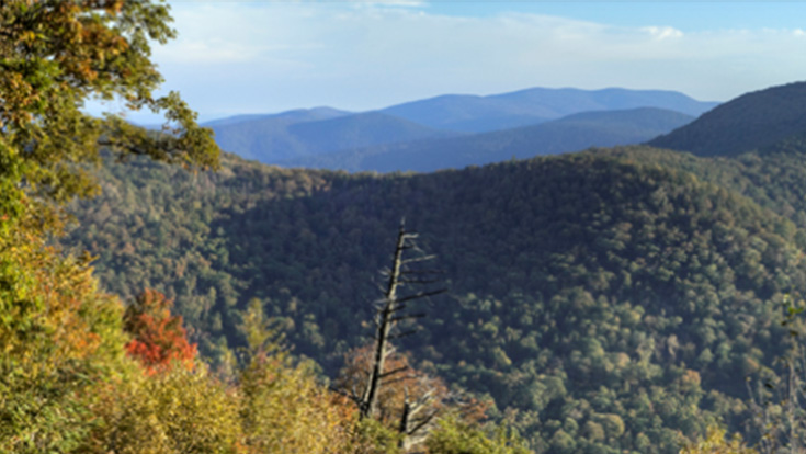 Mountain Valley Scenery, West Virginia
