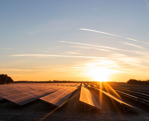 Solar panels in an open field during sunset Solar panels in an open field during sunset