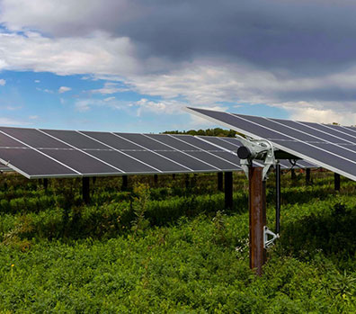 Solar panels in a grassy field.