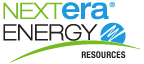 NextEra Energy Logo Color