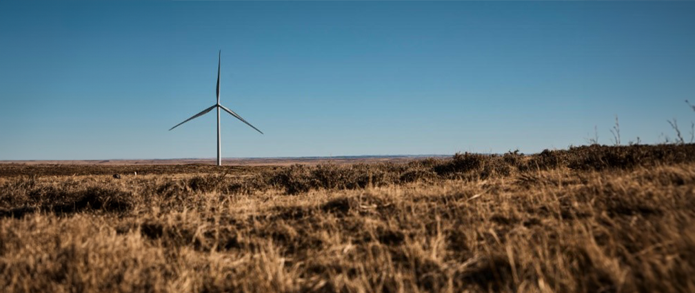 Single turbine in a field