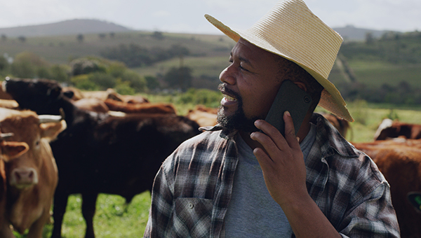 Landowner with cattle using a cell phone