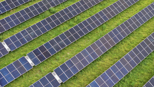Row of NextEra solar panels.