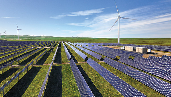 Solar and wind farm with solar panels and wind turbines