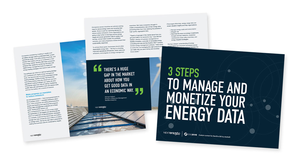 3 Steps to Manage and Monetize Your Energy Data newsletter fan