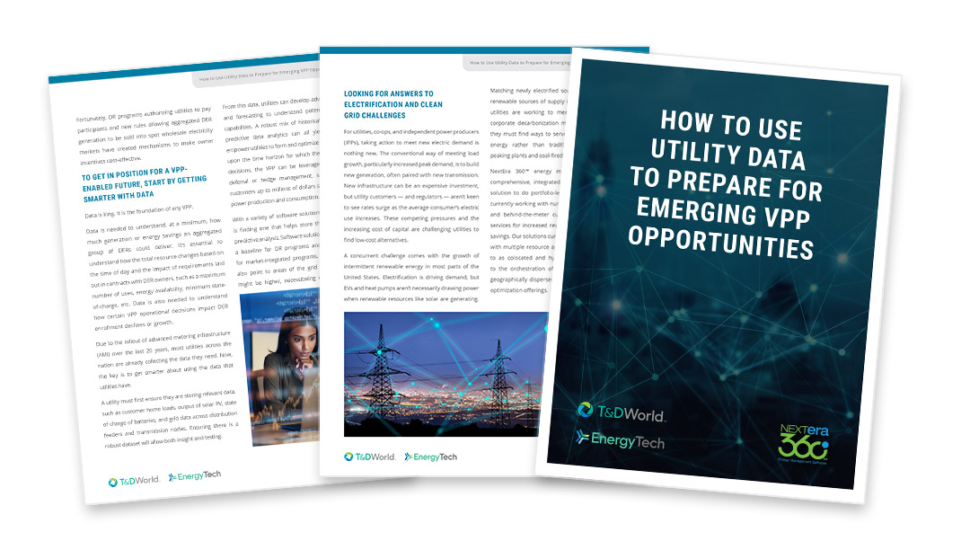 NextEra 360 How to Use Utility Data White Paper