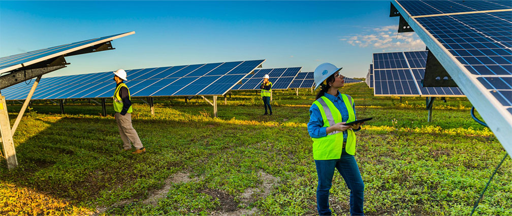 NextEra employees standing by and observing solar panels