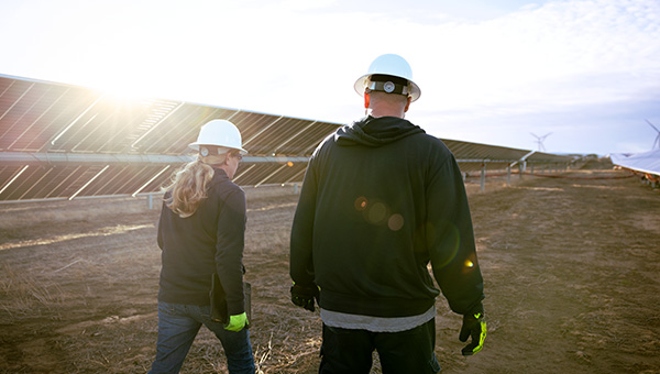 Workers wearing hard hats on a solar farm