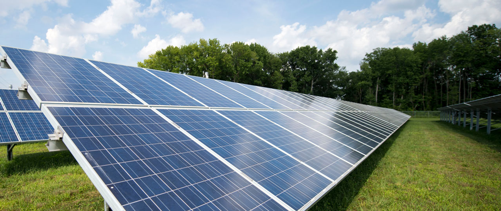 close up of solar panels in a field with trees