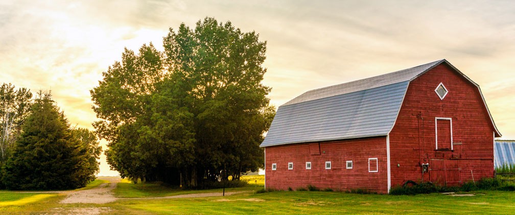 View of a red barn